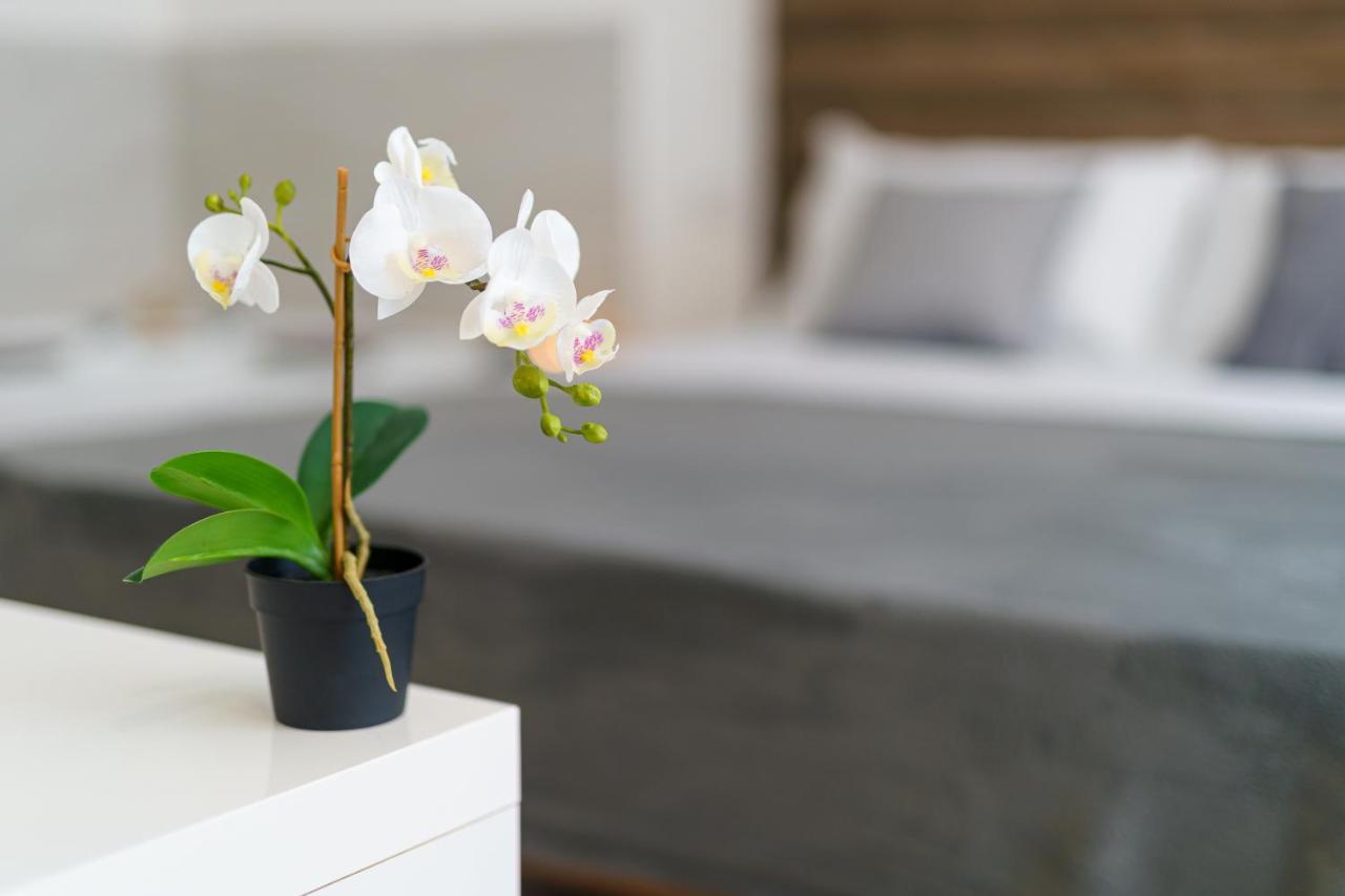 Atena Rooms 칼리아리 외부 사진